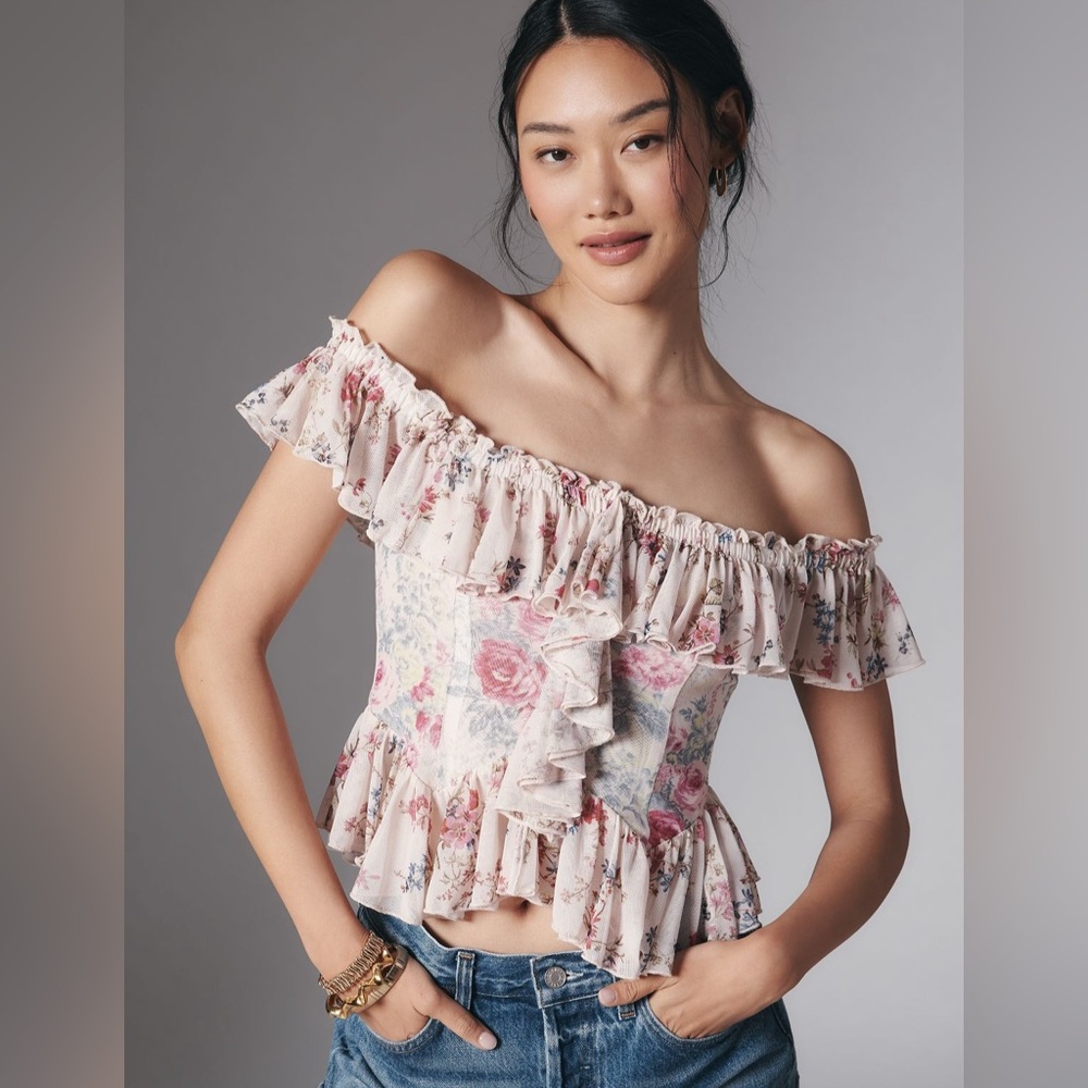 Anthropologie Off The Shoulder Mesh Top Ruffle Floral Print NWT